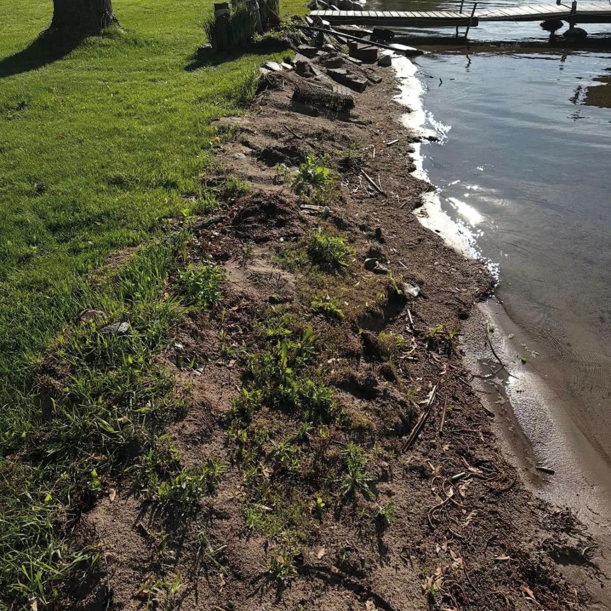 Shoreline before cleanup